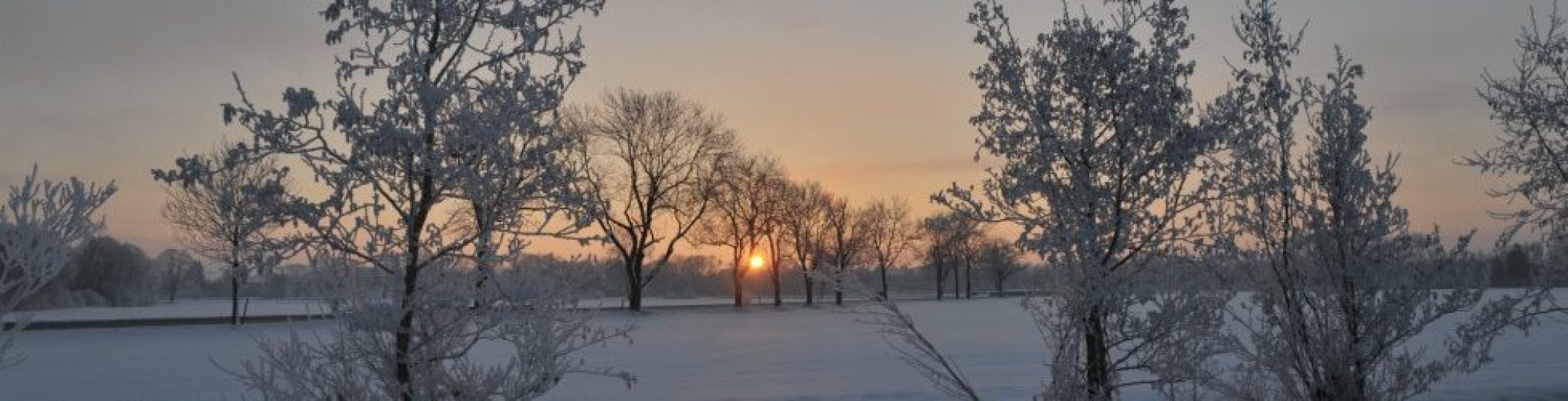 Schwäbischer Albverein | Ortsgruppe Einsingen
